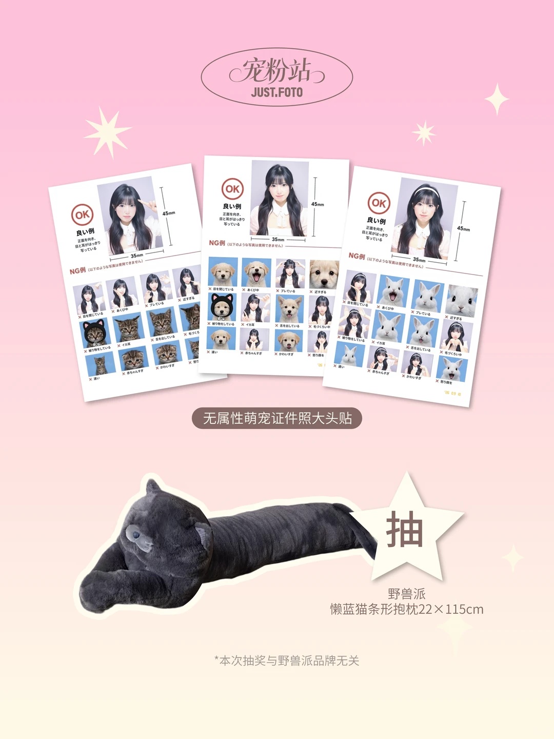 1位：懒蓝猫条形抱枕1+无属性萌宠证件照大头贴拍摄券3