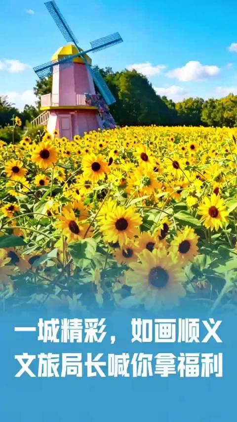 北京奥林匹克水上公园精酿啤酒节门票10份，共10名