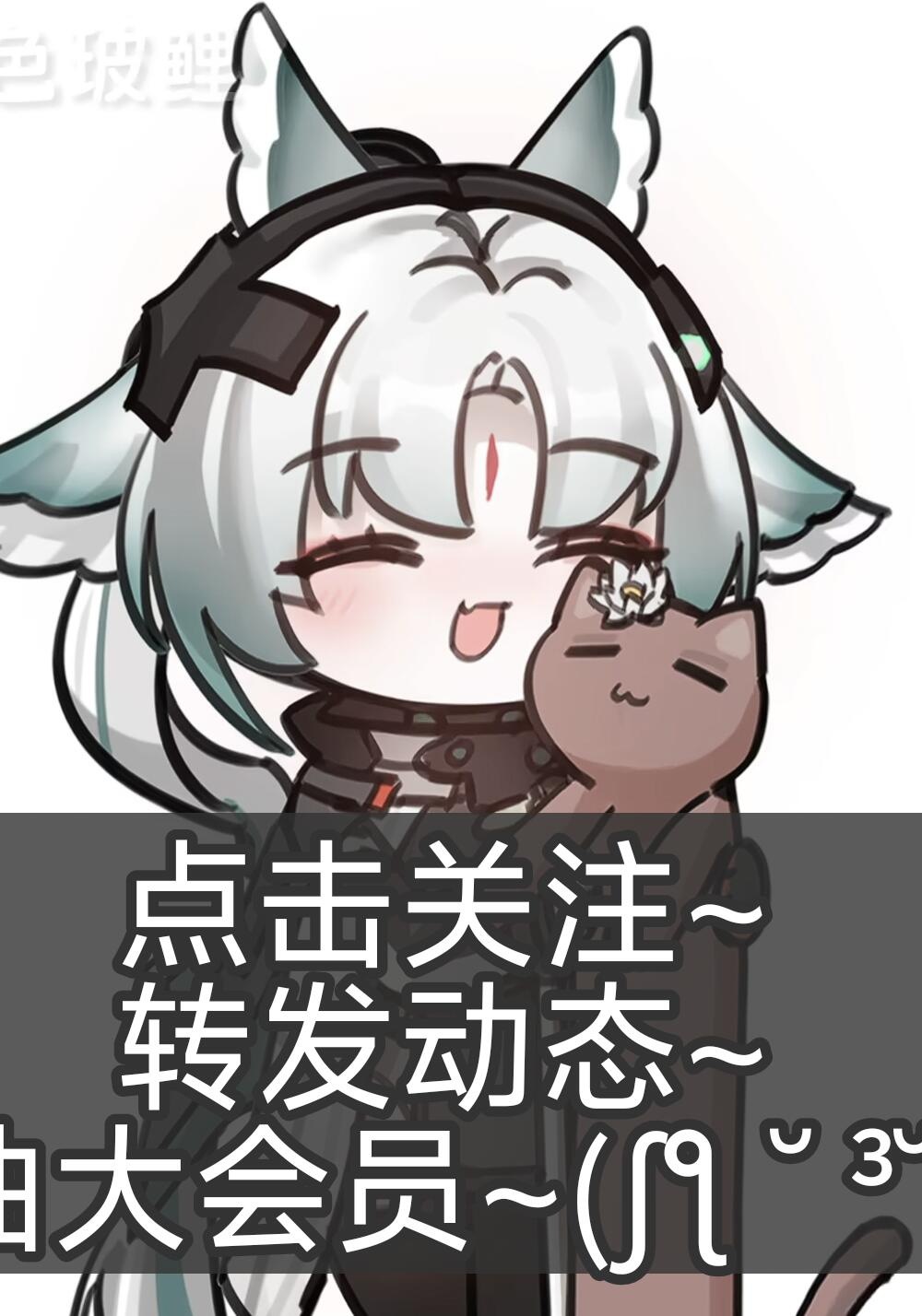 B站大会员年卡×1、季卡×1、月卡×3