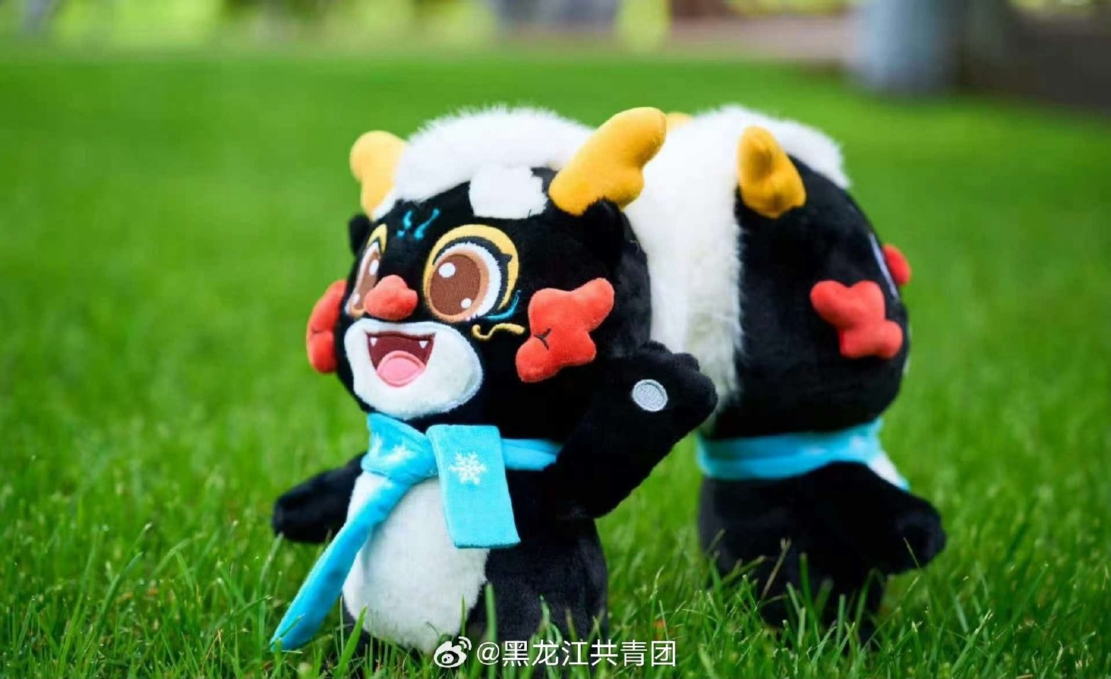 龙团团毛绒玩偶10份