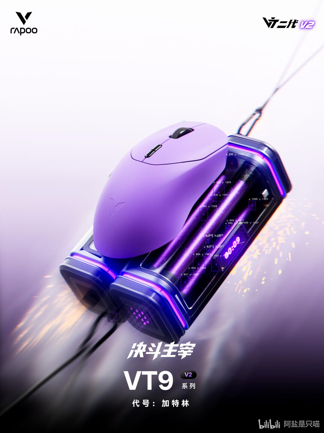 雷柏VT9或VT9s V2鼠标 ×1(型号颜色随机)